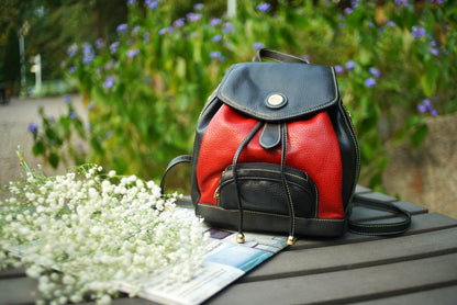 French brand // La Tour Effiel 1887 small backpack 